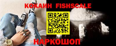 дмт Кингисепп