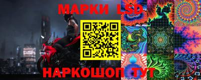дмт Кингисепп