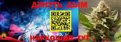 дмт Кингисепп