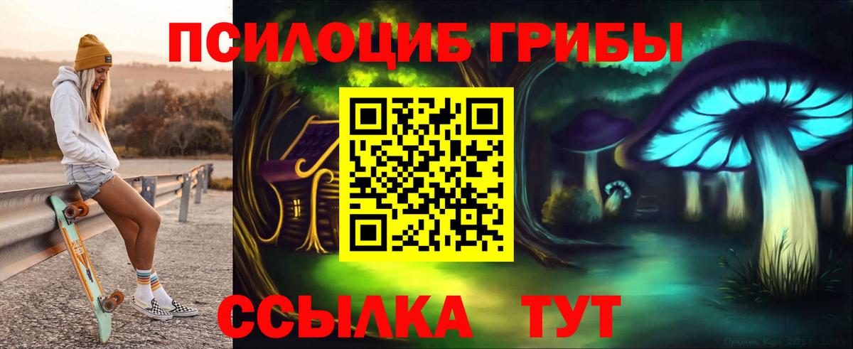 Кингисепп  Псилоцибиновые грибы MAGIC MUSHROOMS  Вход с VPN 